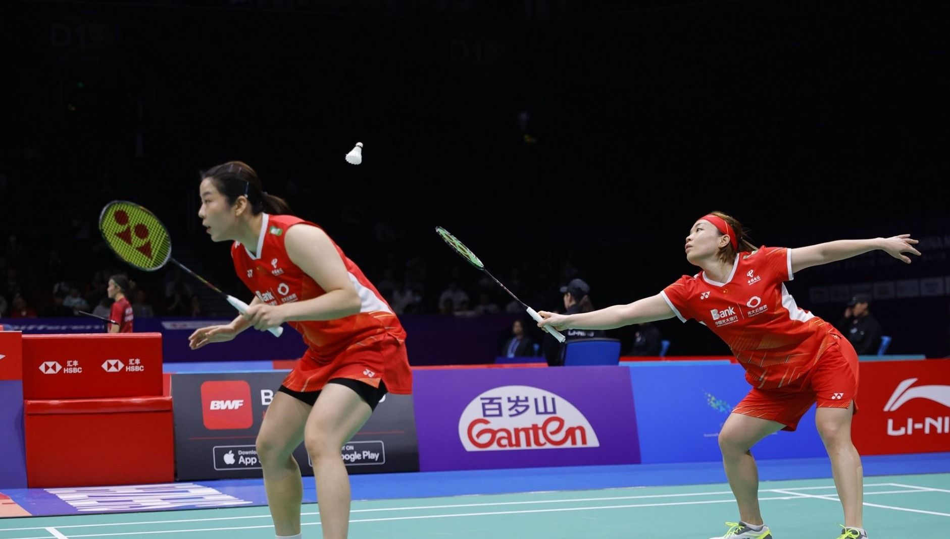 鸡群的背后 鸡群的背后