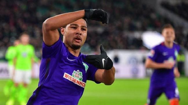 森的防线 森的防线